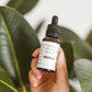 The CBD Oil